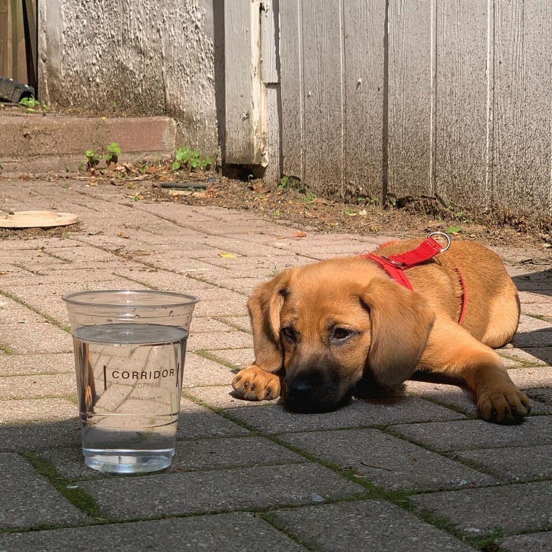 Coffee Shop Founder - Image 9